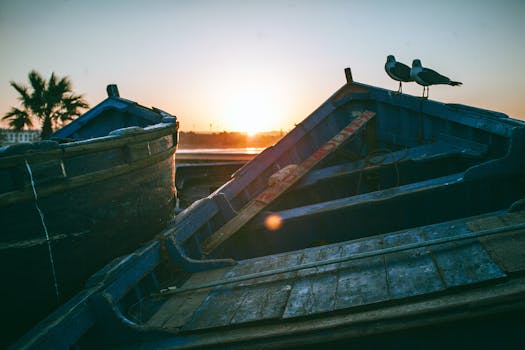 Birds on shabby abandoned boat on shore of sea under clear sky at sundown