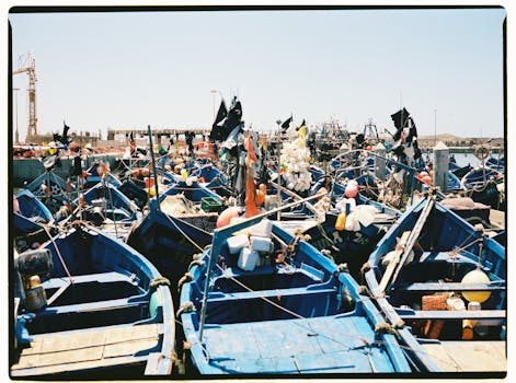 Colorful fishing boats docked in Essaouira harbor, showcasing the bustling maritime life of Morocco.