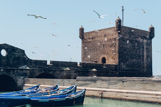 A scenic view of the Essaouira citadel with seagulls in flight and boats docked at the harbor.