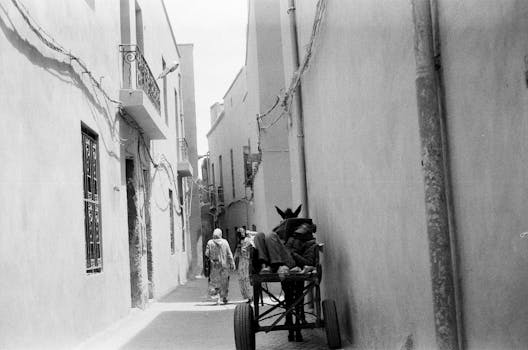 A narrow street in Marrakesh with people and a donkey cart in grayscale.
