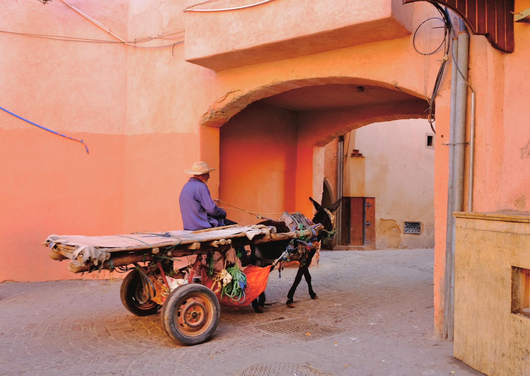 Donkey cart navigating the vibrant and narrow alleys of old Marrakech, Morocco.