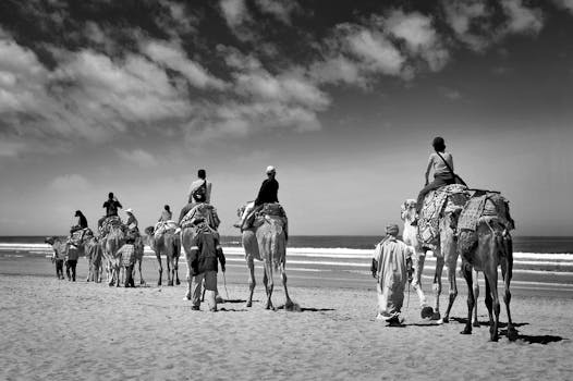 A group riding camels along a scenic Moroccan beach in black and white.