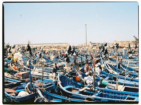 Colorful fishing boats densely packed in the historic harbor of Essaouira, Morocco.